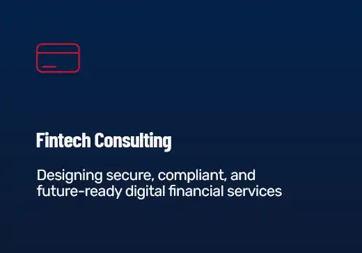 FinTech & Payments Consulting 3 (1)